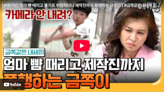  칼을 든 엄마와 폭발하는 12살 아들, 이 전쟁의 끝은 어디인가?