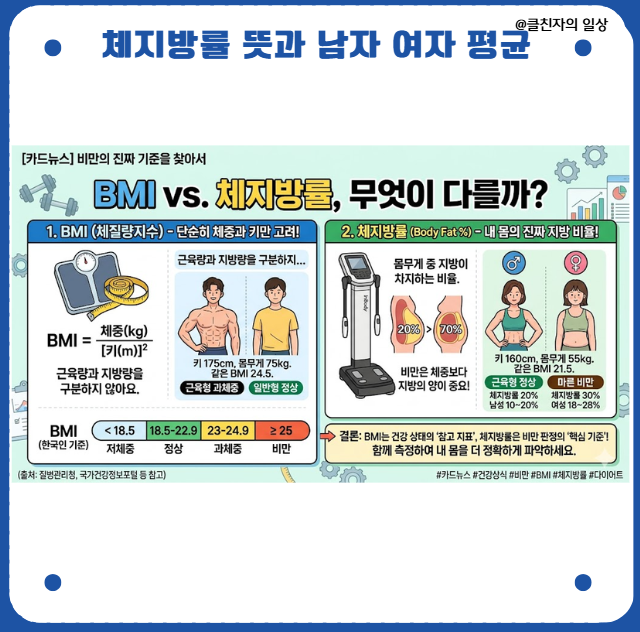 체지방률 뜻과 남자 여자 체지방률 평균: 숫자에 갇히지 않고 '질 좋은 몸' 만드는 법 (클라이....