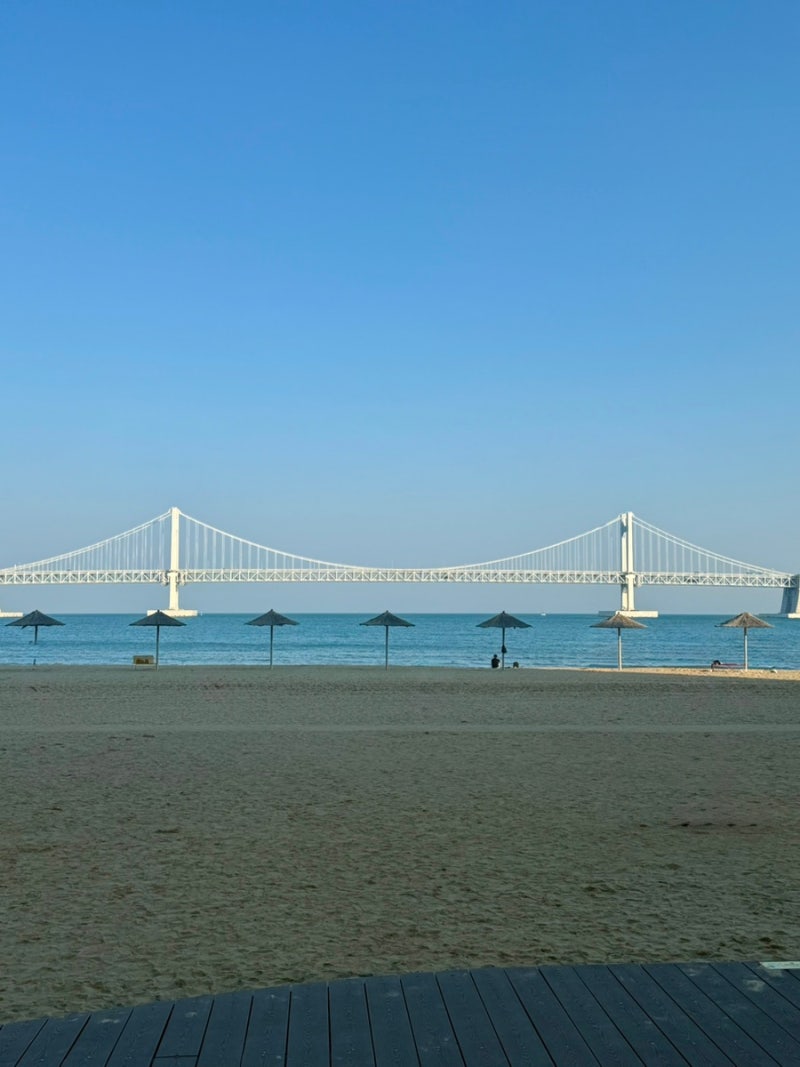 [부산소품샵] 광안리 갈만한곳추천 광안리소품샵거리, 소품샵투어!