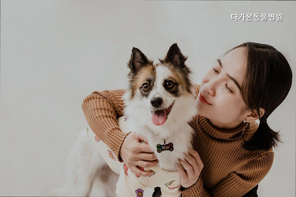 다가온동물병원 사진 3