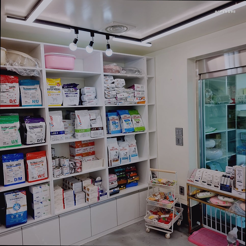 슬기로운동물병원 사진 2