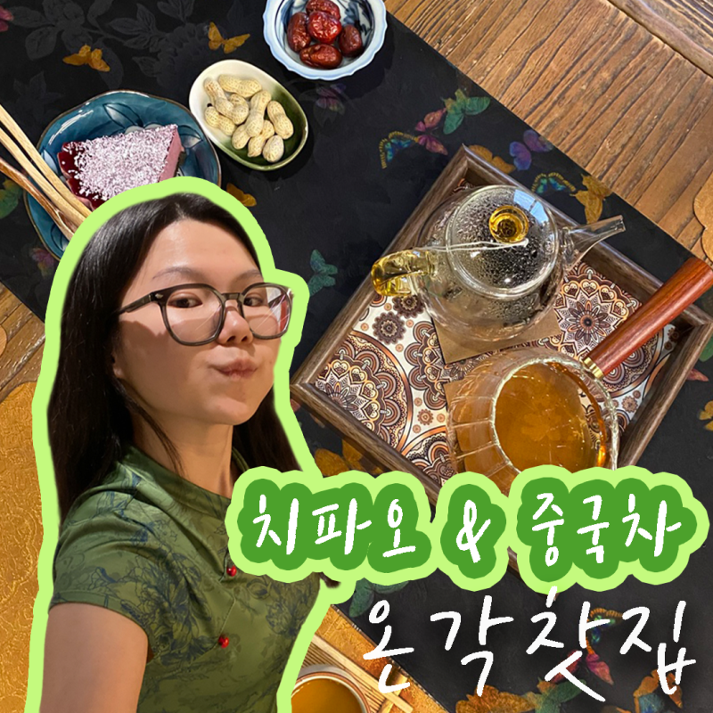 사진 5