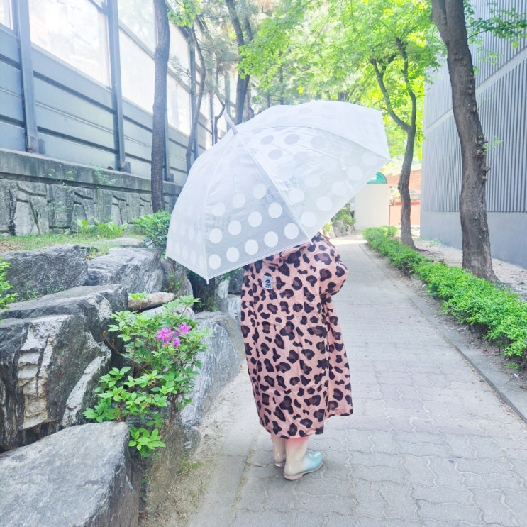  아이우비 레인키스 가방까지 덮이는 어린이판초우비 실사용 후기