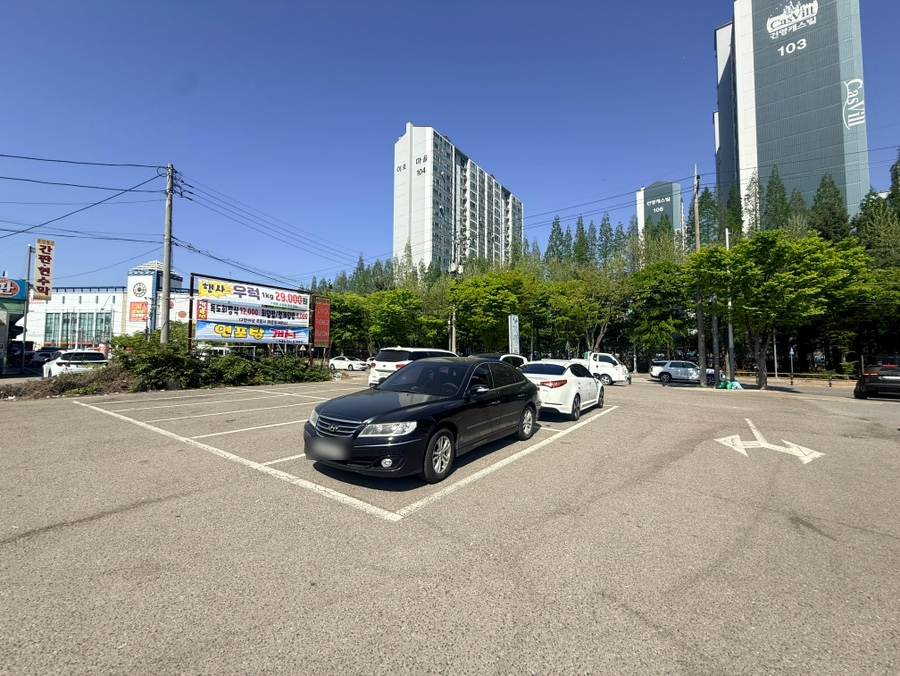 대한독도횟집 사진 5