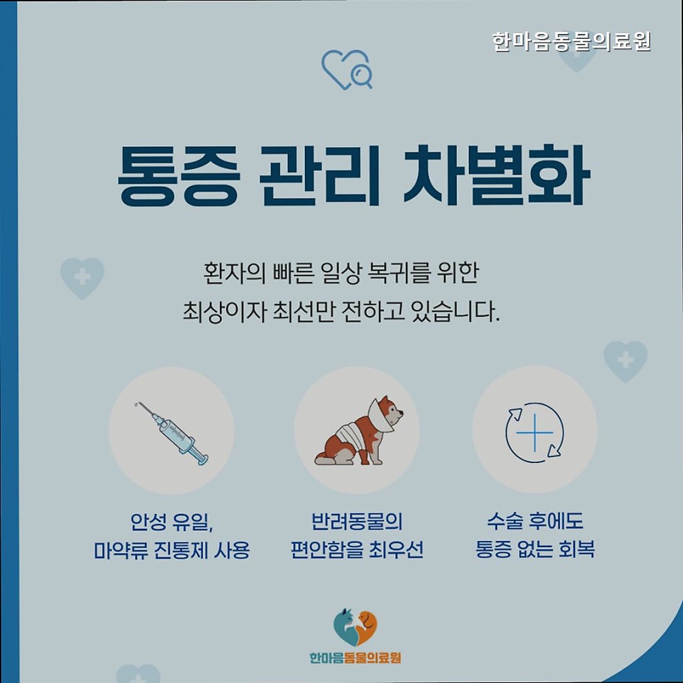한마음동물의료원 사진 4