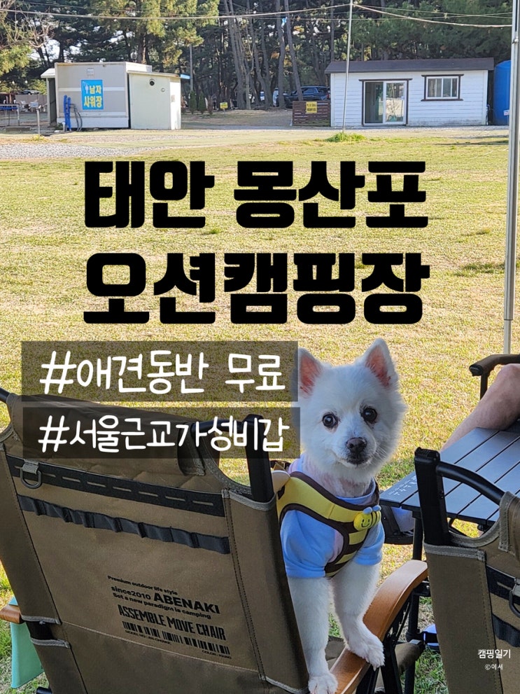  서울 근교 바다 앞 캠핑장 추천 | 몽산포오션캠핑장