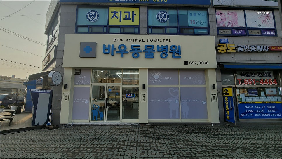 바우동물병원 사진 3