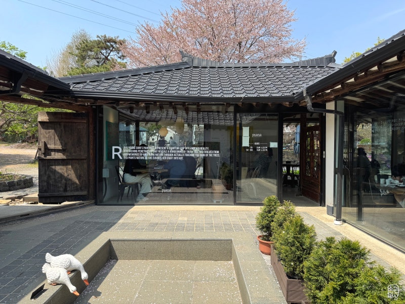 사진 3