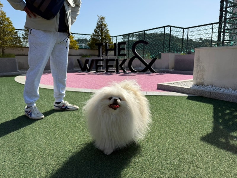 더위크앤리조트 (THE WEEK & RESORT)