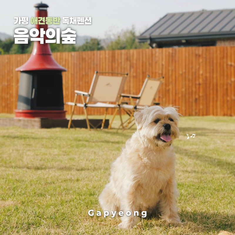사진 2