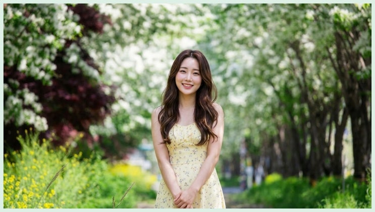  "샤갈 전시까지 공짜?" 전주 이팝나무 철길 축제 200% 즐기는 동선 & 주차 명당