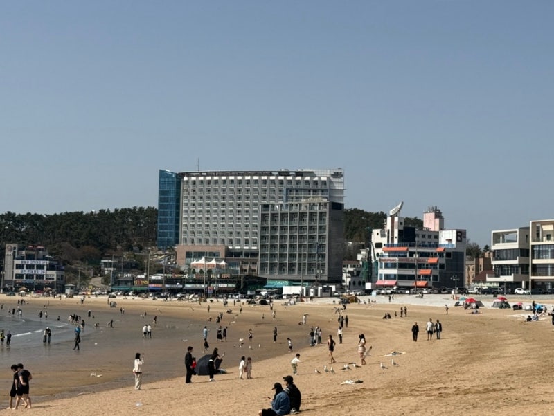 사진 2