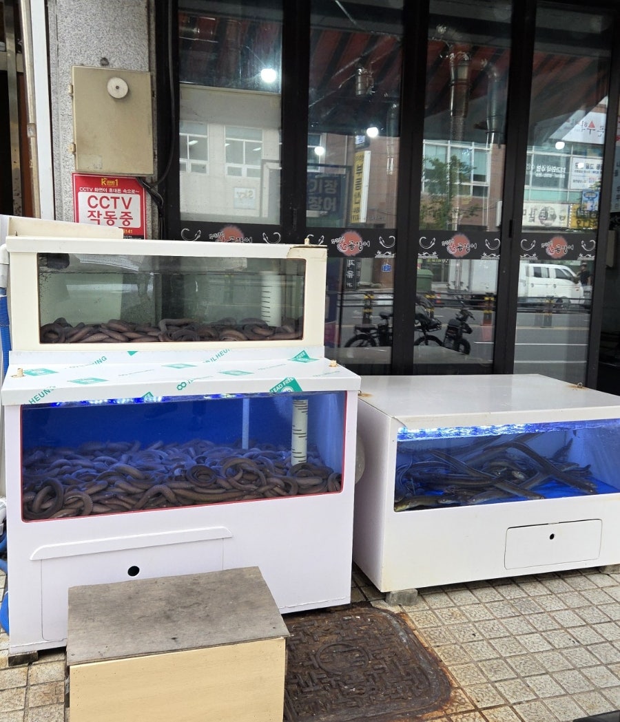 부산기장 산꼼장어 아나고통구이 사진 5
