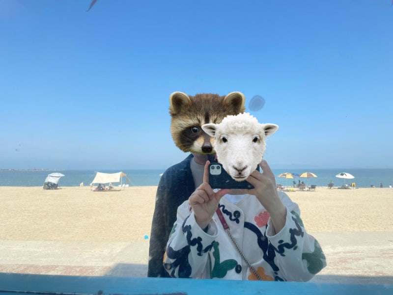 사진 7