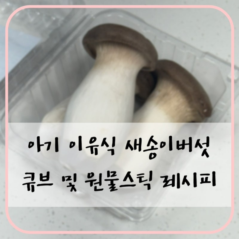 이유식 재료 추천! 새송이버섯 큐브와 원물스틱 만드는 법