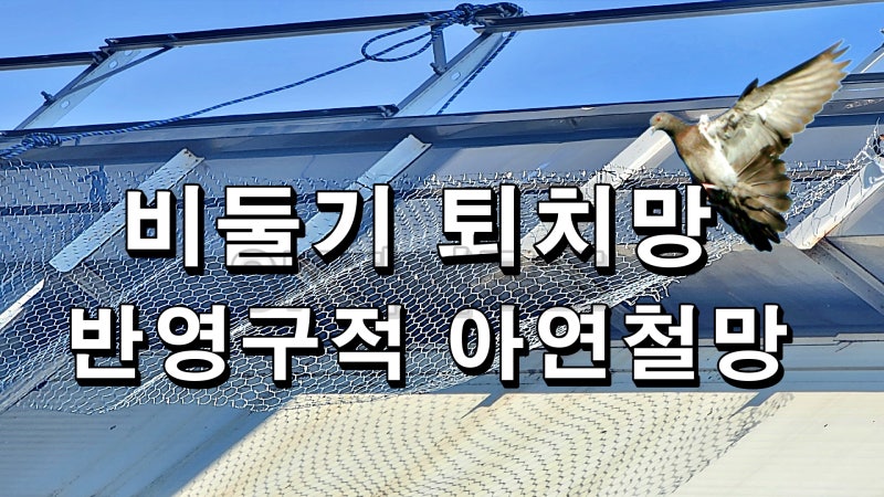 비둘기 퇴치망 비둘기 방지망 아연철망 조류 로프작업 로프공