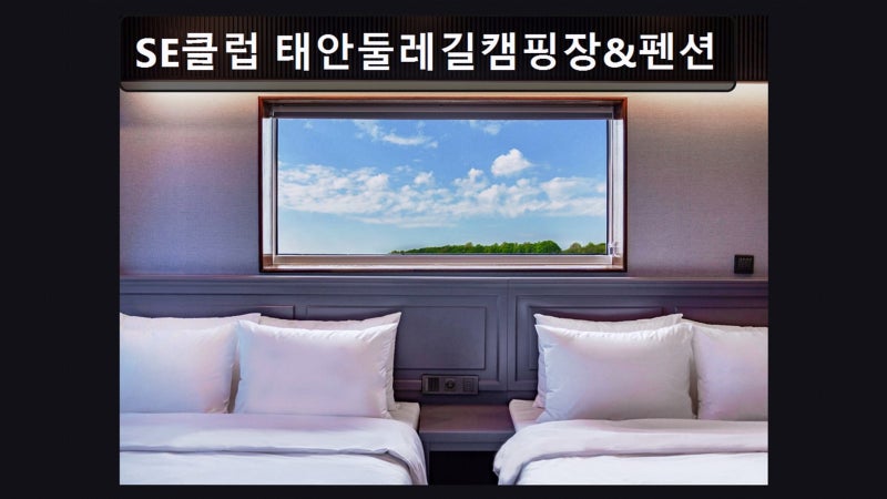 사진 2