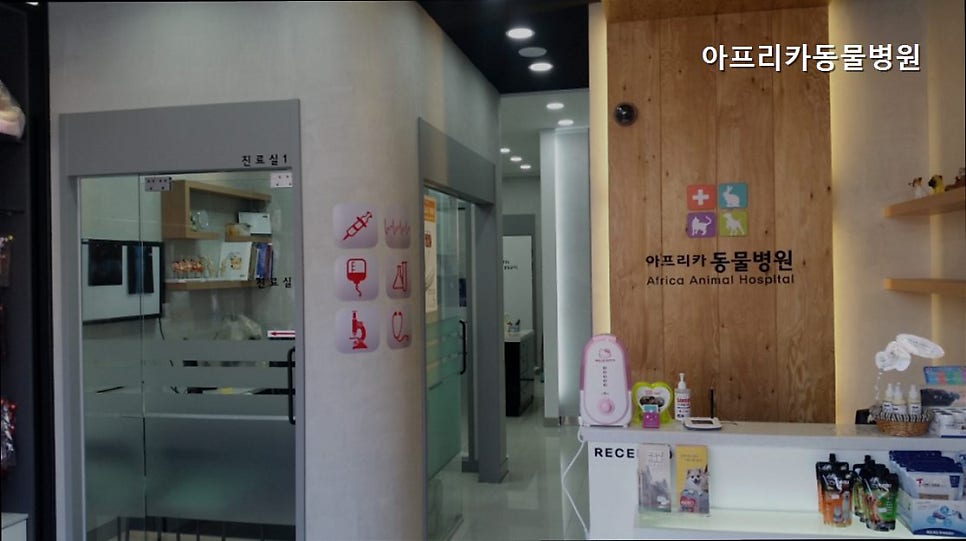 아프리카동물병원 사진 2
