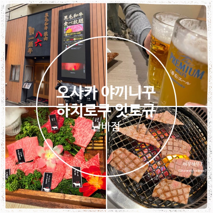  오사카 야끼니꾸 | 난바야끼니꾸 맛집 하치로쿠 잇토규, 진짜 입에서 살살 녹는 최고의 소고기