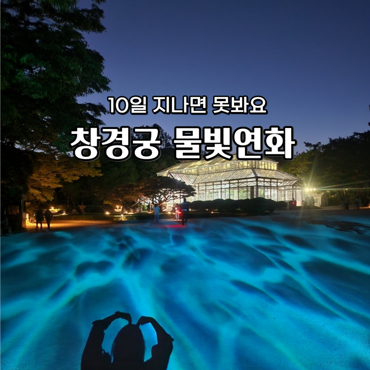  창경궁 물빛연화 야간개장 가격 2일만에 웨이팅 성공 관람 리얼후기