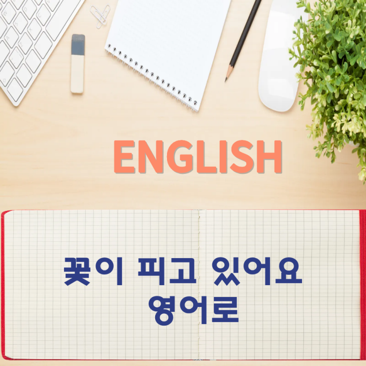  오늘의 영어회화 스터디 꽃이 피고 있어요 영어로