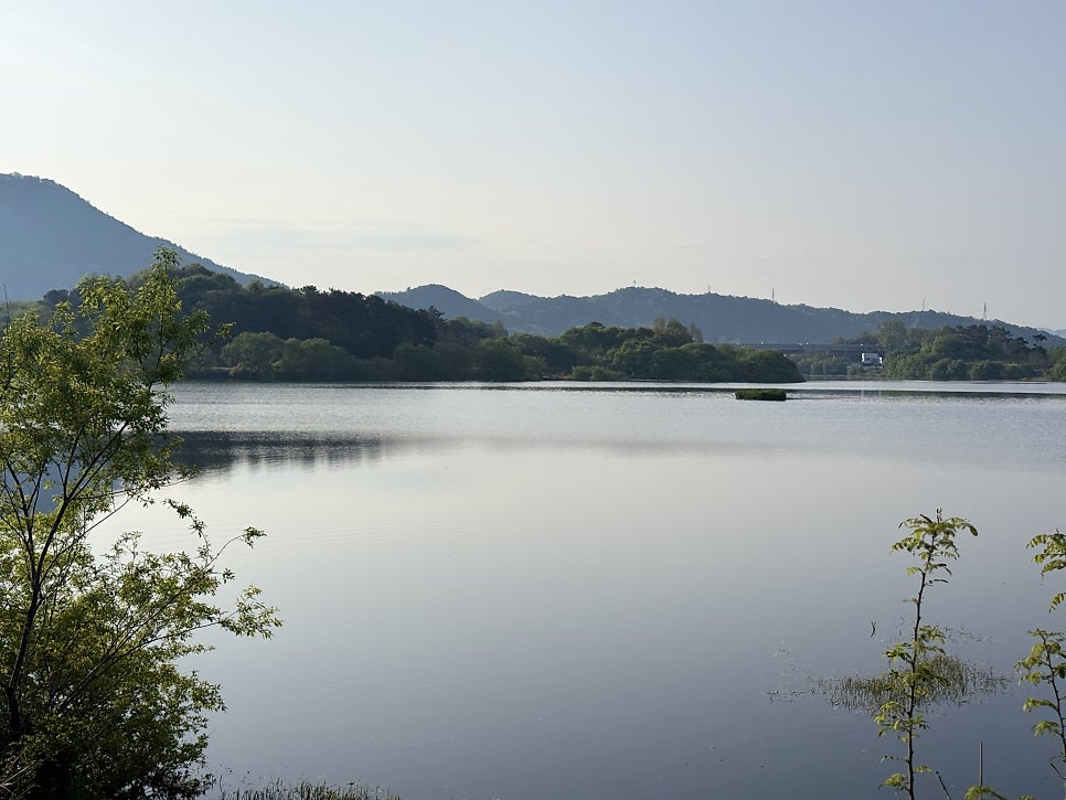송림제 사진 7
