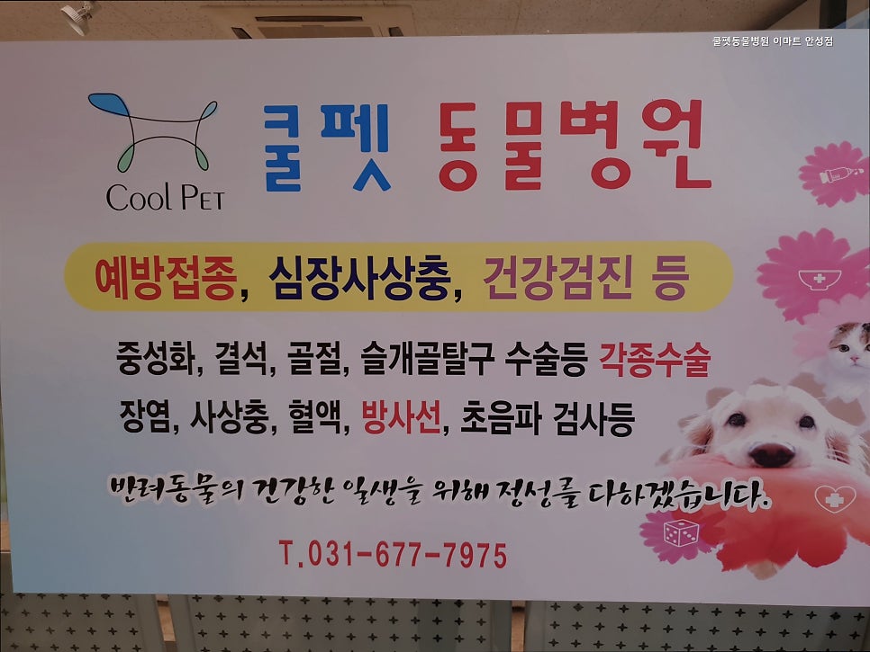 쿨펫동물병원 사진 3
