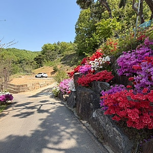 세종근교 아이랑 가기 좋은 곳 공주 오구오구 관광농원