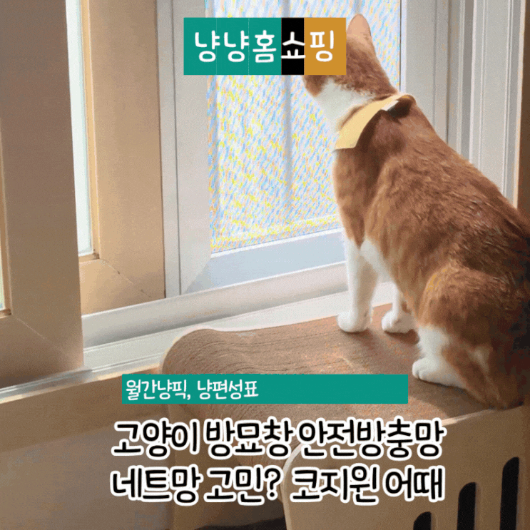  고양이 방묘창 안전방충망 설치 후기 네트망 고민하다 선택한 코지윈