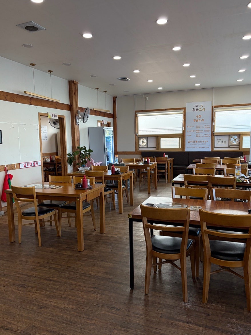 용전황금오리 사진 3