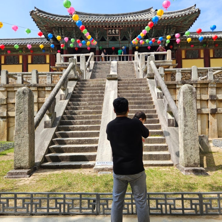  경주가볼만한곳 세계문화유산 불국사 겹벚꽃