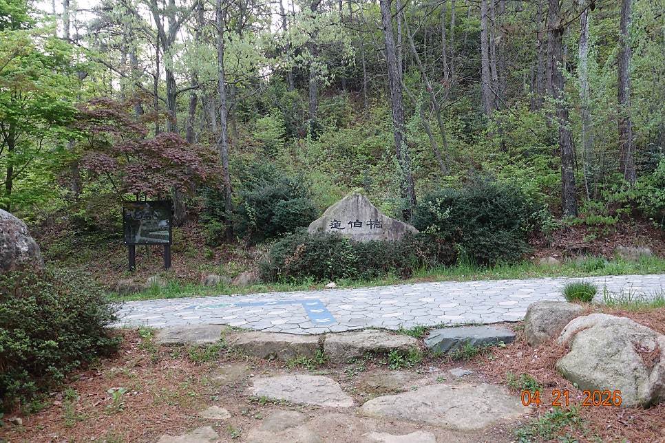 용추계곡 사진 6