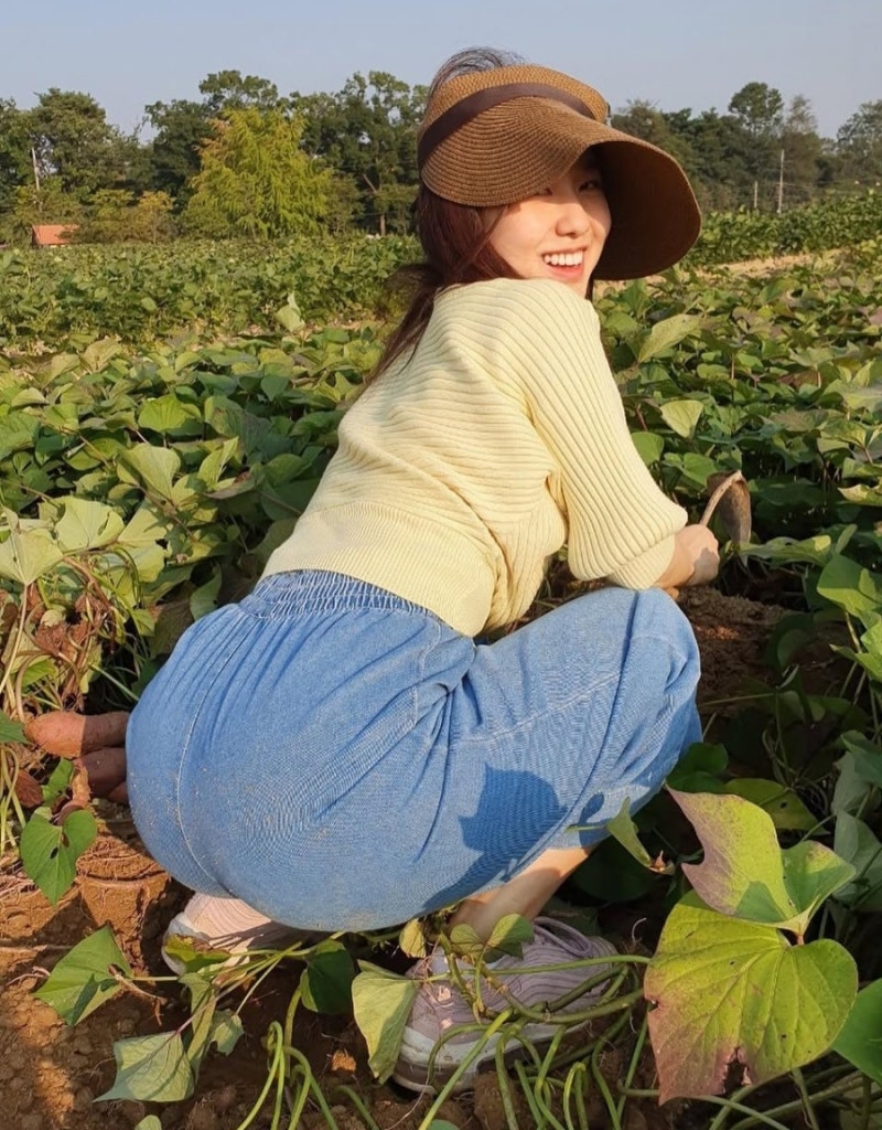 방송인 이혜성 프로필! 서울대 뇌섹녀에서 '천하제빵' 세미파이널까지 (나이, 키, 국적, MBTI)
