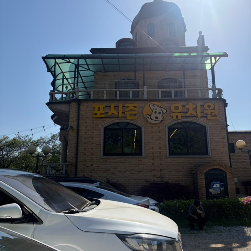 사진 5
