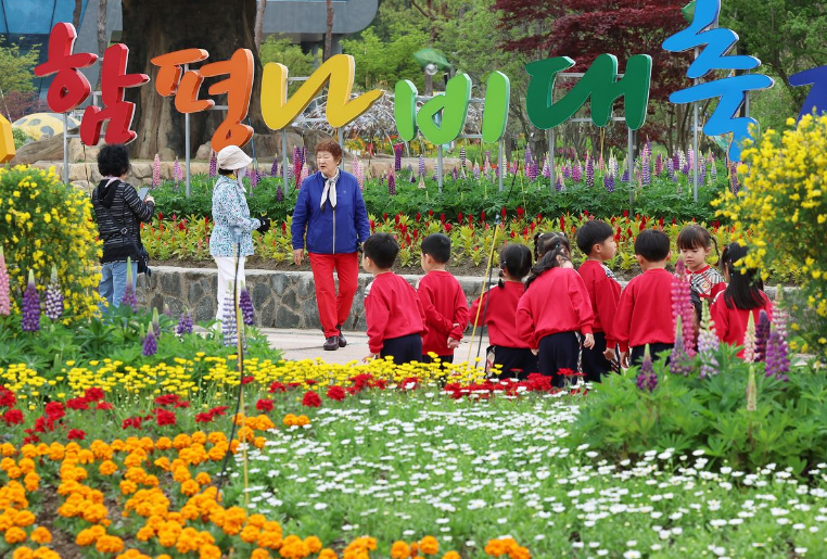 함평나비대축제 2026 완전정리｜나비 20만 마리+체험 가득, 아이랑 봄나들이는 여기로