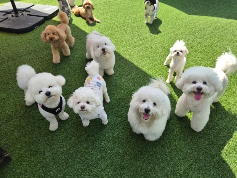 사진 7