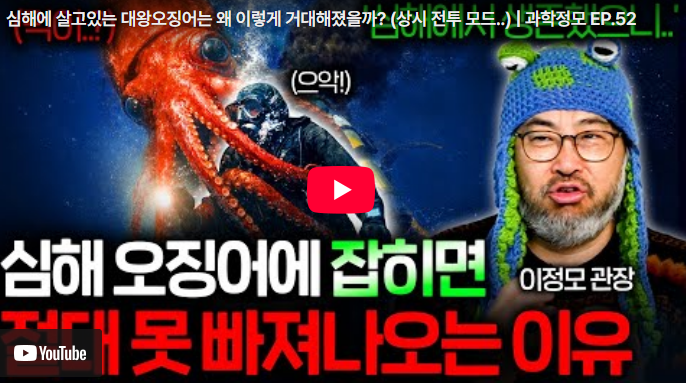 [BODA] 심해의 거대 괴물 크라켄의 실체? 대왕오징어가 18m까지 자라야만 했던 필연적 이유