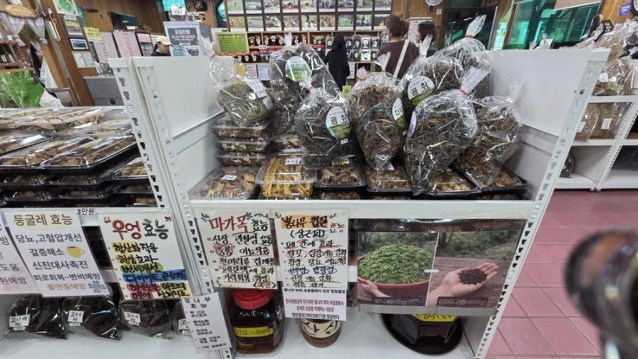 점봉산산채 사진 1