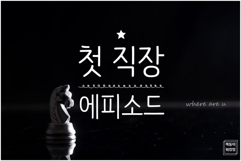 사진 3