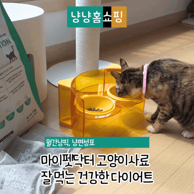  마이펫닥터 고양이사료 다이어트 사료인데 기호성 좋은 슬림 솔루션 후기