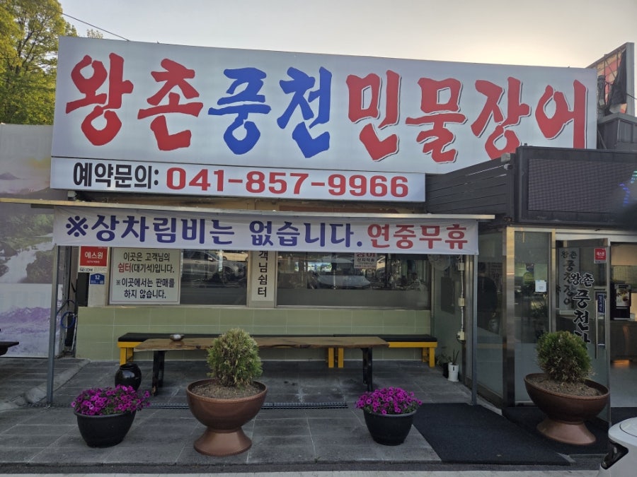왕촌풍천민물장어 사진 2