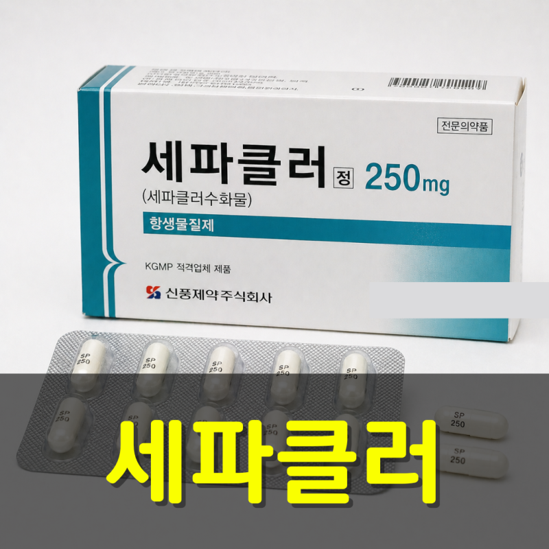 중이염·기관지염 항생제, 세파클러 효과·복용법·부작용 총정리