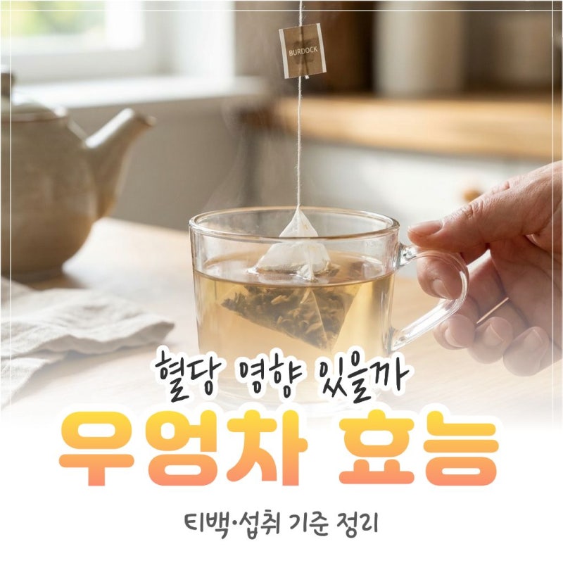 우엉차 효능, 혈당·다이어트에 도움될까? 티백 먹는법 정리