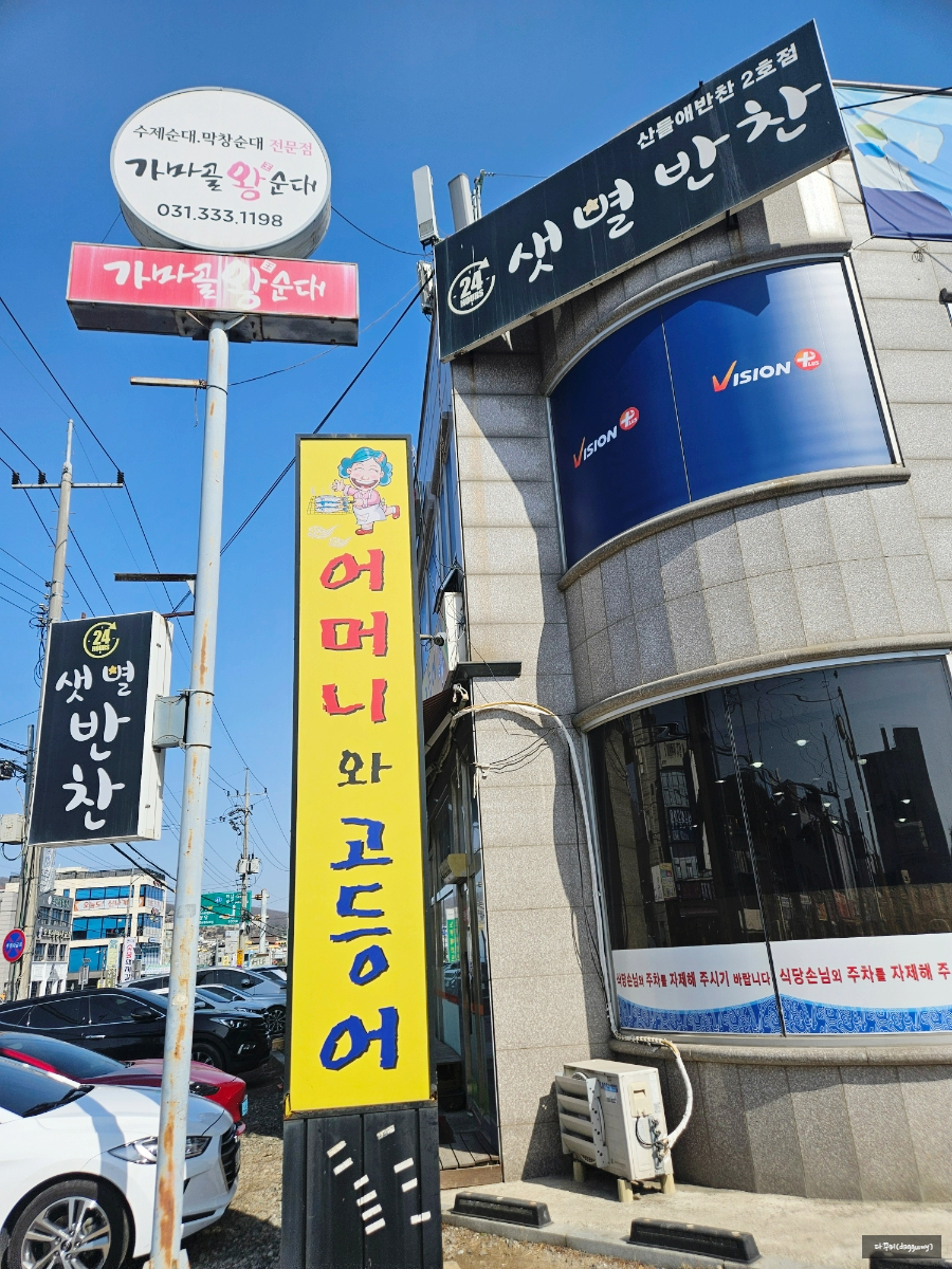 어머니와 고등어 사진 1