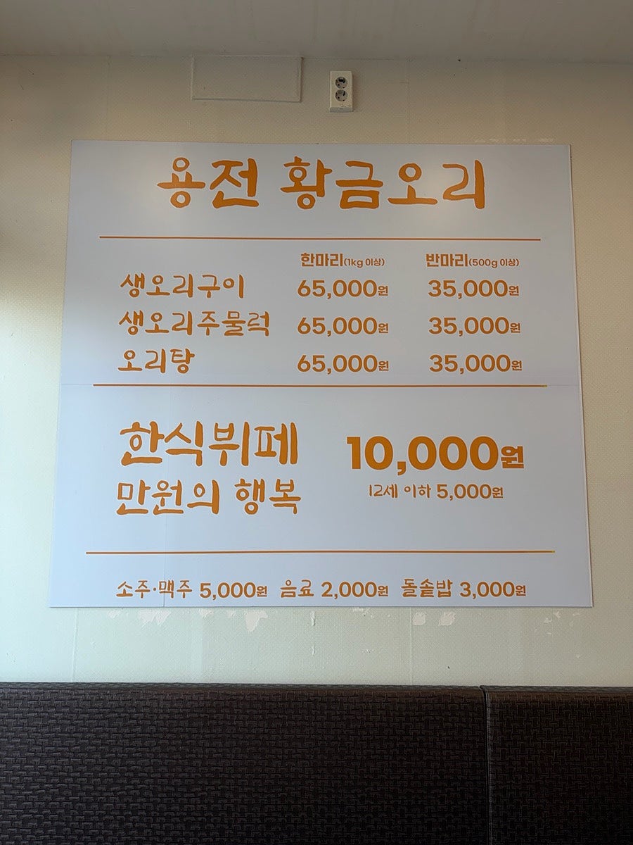용전황금오리 사진 4