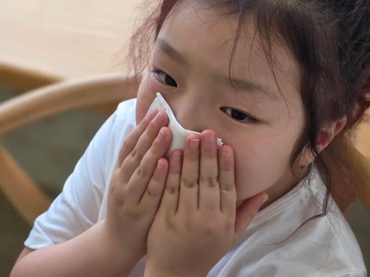  비염티슈추천 휴대용 먼지없는화장지 사용 후기