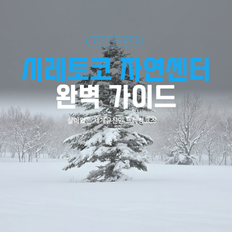  시레토코 자연센터 완벽 가이드 | 관광안내소 운영시간·주차·후레페폭포 트레킹 총정리
