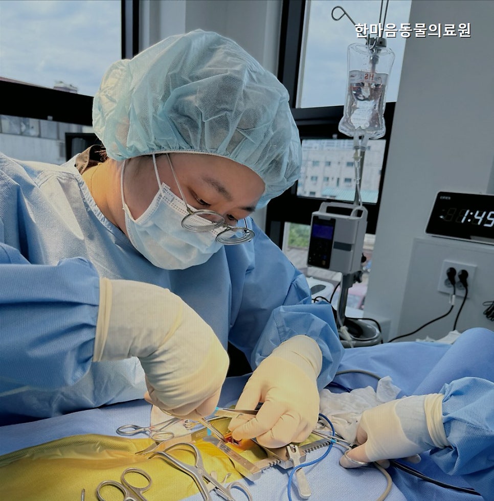 한마음동물의료원 사진 1