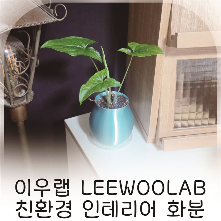  센스있는집들이선물 감성 더하는 친환경화분 추천
