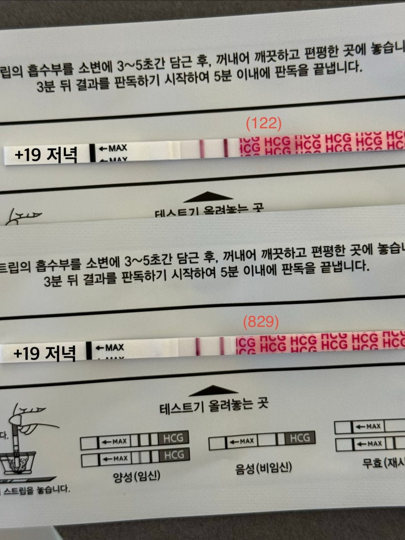 배란 19일차 더딘 임테기 역전 | 임테기 진하기 비교 | 원포 제조번호 차이